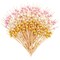 150 Pack of Decorative Toothpicks for Appetizers, Bamboo Food Picks (Pink, Gold, and White Pearl, 4.7 in)